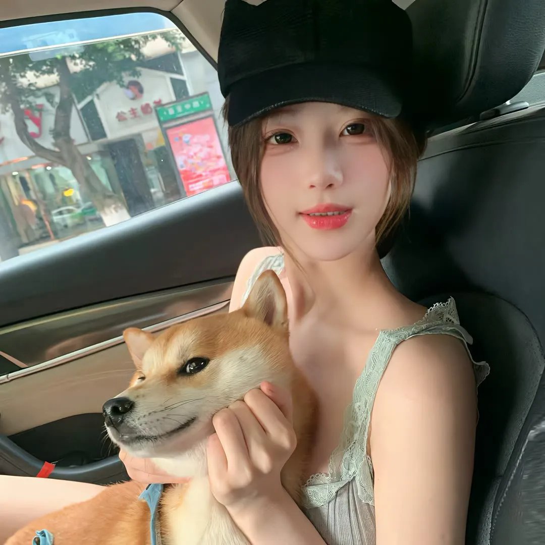 解释鸿沟